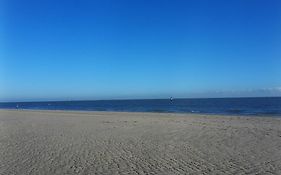 Private Logies Texel Woodart